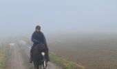 Tour Reiten Beauraing - Wancennes-Tanville - Photo 4