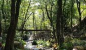 Tour Wandern Levie - levie  a Serra di Scopemene et Santa Luccia di Tallamo - Photo 6