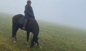 Tour Reiten Beauraing - Wancennes-Tanville - Photo 5