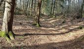 Trail Walking Clarafond-Arcine - sainte Victoire - Photo 7