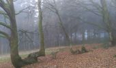 Trail Walking Glux-en-Glenne - mont Beuvray - Photo 2