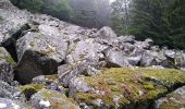 Tour Wandern Urbeis - Les deux lacs - Photo 3