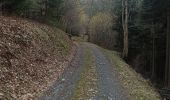 Trail Walking Bussang - camping du champé cascade de l'ours - Photo 4