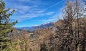 Tour Wandern Le Vernet - Sommet de Grisonnière via le Vernet - Photo 3