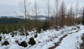 Tour Wandern Stablo - Stavelot 20,6 km - Photo 1