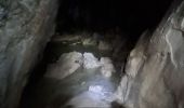 Tour Wandern Bouvante - Serre Montué par la grotte du Berger, la pas de l'Infernet en circuit partiel - Photo 5