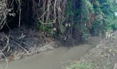 Tocht Stappen Le Robert - Pointe Savane - Plage du Raisiinier - Photo 6