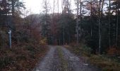 Trail Walking Sewen - Graber Novembre 23 - Photo 8