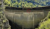 Tocht Te voet Les Planchettes - Barrage du Châtelot - Saut du Doubs - Photo 4