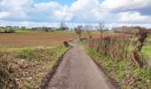 Trail Walking Sprimont - Les vallons du chantoir  - Photo 1