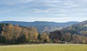 Tour Mountainbike Urbach bei Kaysersberg - Place Arthur - Photo 4