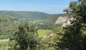 Randonnée Marche Houyet - GR126 : Gendron - Anseremme - Dinant - Photo 10