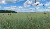 Trail Walking Houffalize - Les deux Ourthes au départ de Filly - Photo 5