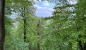 Tour Wandern La Roche-en-Ardenne - Warempage 23 km - Photo 3