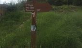 Trail Walking Levens - Mont Cima - Photo 12