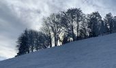 Tour Wandern Diedolshausen - Col des bagenelles / neige - Photo 1