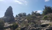 Tour Wandern La Garde-Freinet - Fort Freinet et les roches blanches - Photo 10