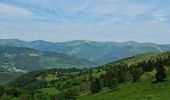 Tour Wandern Sondernach - Rando les Copains d'abord.. 19/05/2022 - Photo 10