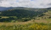 Tour Wandern Murat - Murat - La Bonnevie de Saint-Antoine - Photo 15