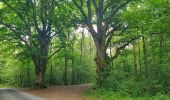 Tocht Stappen Durbuy - Balade à Bomal sur Ourthe - Photo 10