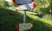 Percorso A piedi Brienno - Sentiero botanico di Brienno - Photo 3