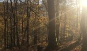 Randonnée Marche Libin - Glaireuse - La Voie du Cerf (LI18) - Photo 2