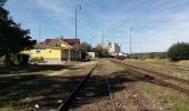 Tour Zu Fuß Klein Bor - NS Velké Hydčice-Hejná-Nezamyslice - Photo 3