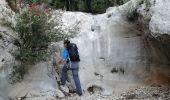 Percorso Marcia Roquevaire - le Garlaban par le grand vallon - Photo 4