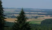 Trail On foot Argenthal - Traumschleife Schanzerkopf-Tour - Photo 1