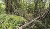 Trail Walking Puy-Saint-Vincent - Le Villaret La combe noire - Photo 16