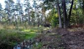 Randonnée Marche Profondeville - Les Bois de Lustin  - Photo 11