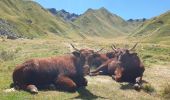 Randonnée Marche Mont-Dore - La montée au Puy de Sancy par Mont Dore - Photo 9