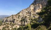 Trail Walking Robion - Robion les taillades rochers de baude  - Photo 5