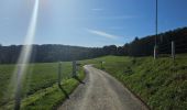 Tour Wandern Esneux - A la découverte d'Esneux  - Photo 2