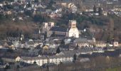 Trail On foot Unknown - Trier Wanderweg T9 - Photo 2