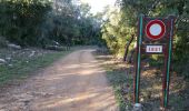 Trail Walking Draguignan - 20200208 rando RF Malmont  - Photo 2