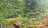 Randonnée Marche Montfiquet - cerisy la forêt 5km - Photo 5