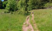 Excursión Senderismo Luttenbach-près-Munster - Autour du Petit Ballon et ses fermes auberges - Photo 4