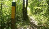 Trail Walking Marignac-en-Diois - But Saint-Genix par Marignac - Photo 6