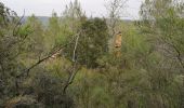 Tocht Stappen Barjols - ste madeleine  - Photo 9