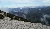 Tour Wandern Bédoin - les glacières par le sommet du ventoux - Photo 3