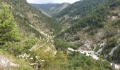 Excursión Bici de montaña Thorame-Basse - Col de Seoune Lambruisse - Photo 15