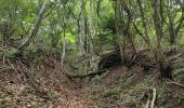 Tour Wandern Orcines - Montée au Puy de Dôme et temple de Mercure  - Photo 3