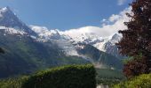 Randonnée Marche Chamonix-Mont-Blanc - Gare de Chamonix aux Houches par l'Arve - Photo 4