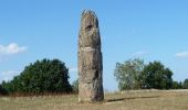 Tour Zu Fuß Blieskastel - Hasen-Rundwanderweg Niederwürzbach - Photo 10