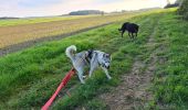 Tocht Trail Doische - 20210920_sitytrail_test - Photo 2