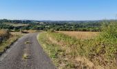 Tour Wandern Verneuil-sur-Vienne - la Merlie - Photo 2