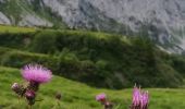 Percorso A piedi Schilpario - (SI D24S) Passo del Vivione - Rifugio Baita Iseo - Photo 5