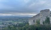 Trail  Marsanne - Marsanne grande limite ND Fresneau - Photo 13