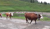 Randonnée Marche Verchaix - lac de joux plane - Photo 17